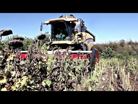 NARDI HARVESTING SUNFLOWER HEADER - SFH600