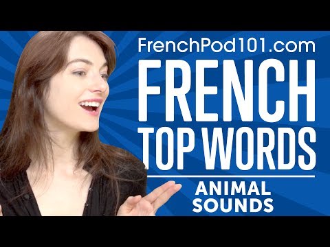 Learn the Top 25 Must Know French Phrases
