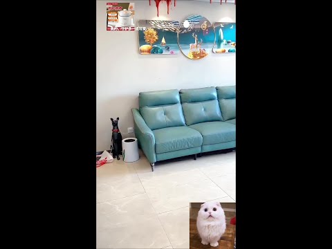 Protect more and be more cute @美的Midea Xinjiang fried rice noodles sofa is so delicious. Please do