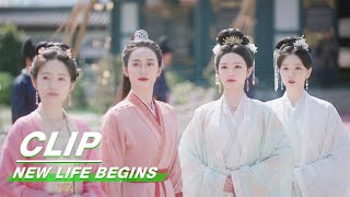 Download lagu Li Wei Changes the Rules of Inter-region Marriage | New Life Begins EP40 | 卿卿日常 | iQIYI mp3