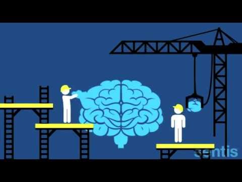 Mike Rother Changing Mindsets within Lean Quebec 2015