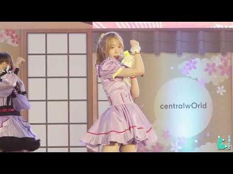 lFANCAMl VASA Castella「カステラ」- ทาสแมว (Cat slave)