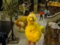 Sesame Street Good Morning Mr Sun