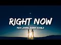 Nick Jonas Robin Schulz Right Now Lyrics