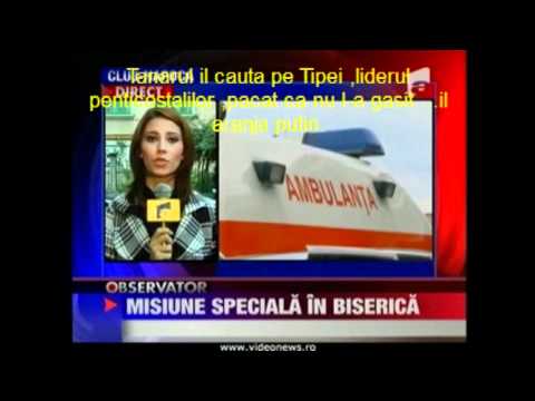 In cautarea lui Tipei....