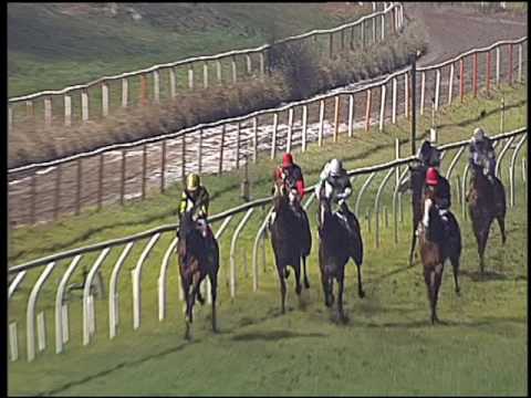 Galoppo 05/01/2017 - 4ª corsa