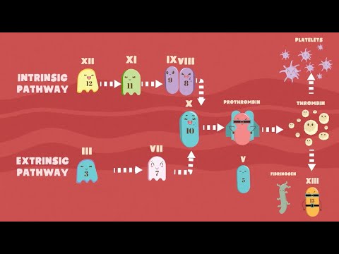 Rare Factor Deficiencies