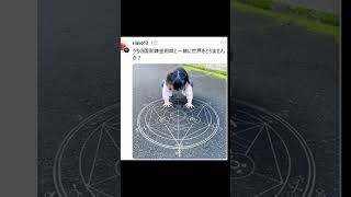 大丈夫、僕最強だから