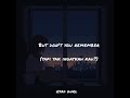 Story Wa Adele Don T You Remember Lirik Terjemahan Indonesia