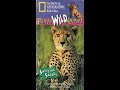 Really Wild Animals Swinging Safari Full 1994 National Geographic Society VHS
