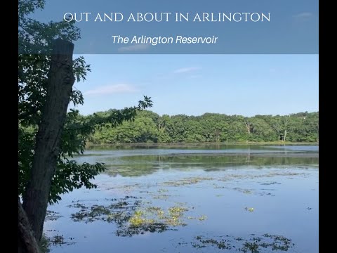 The Arlington Reservoir | Arlington, MA Real Estate