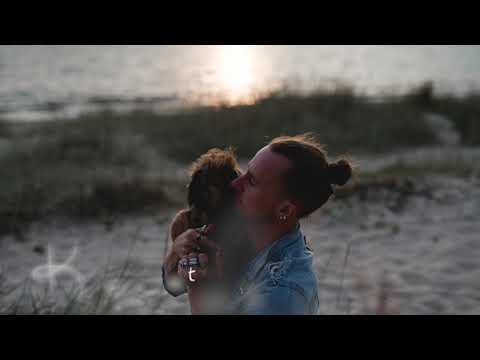 Sadamasild - Armas lavendel