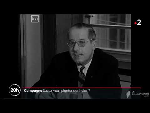 Focus haies bocagères – Biodiversité