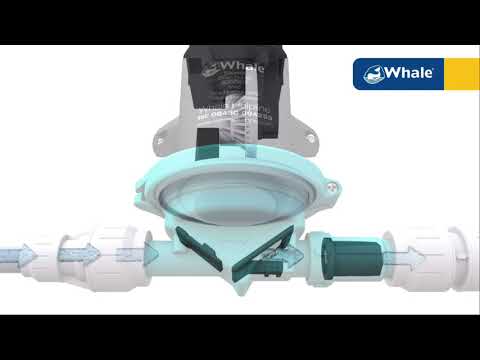 How Whale Pump Works