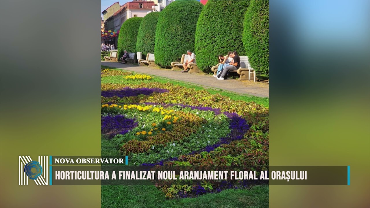Horticultura a finalizat noul aranjament floral al orașului