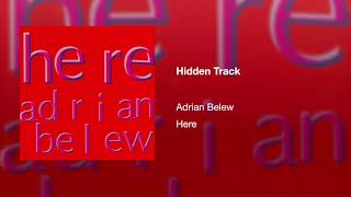 Hidden Track (Hidden Track)