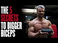 How To Bicep Curl for Bigger Arms (Advanced Techniques)