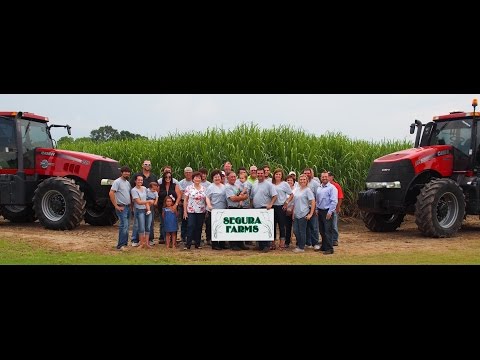 Louisiana's Sugarcane Farming Families: The Seguras of Iberia Parish - American Sugar Cane League