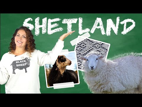 What's so Special about Shetland Wool? - Yarn University #11