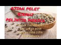 AJIAN PELET BIRAHI PELINTIR MERICA ILMU GRATIS BIKIN GAIRAH S3X