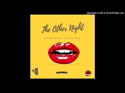 Ashlee Bankz - The Other Night (Feat. Donn Robb)