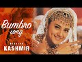 Bumro Bumro Sham Rang Bhumro - Preity Zinta & Hrithik Roshan | Mission Kashmir | Wedding Dance Song