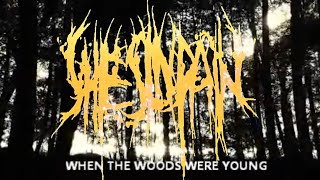 She's In Pain When the Woods Were Young