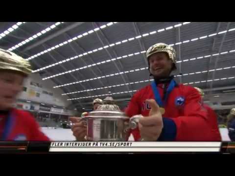 VM -finalen-2013❀Höjdpunkter bandy-från Sverige-Ryssland