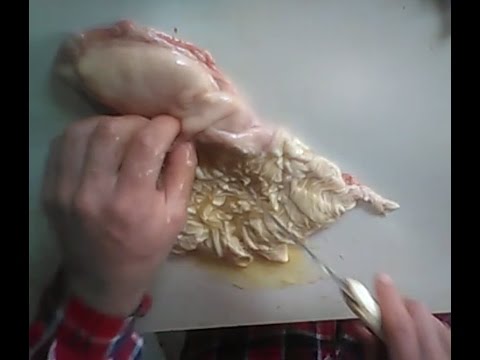 download lagu mp3 mp4 Rennet, download lagu Rennet gratis, unduh video klip Rennet