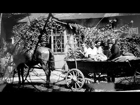 "Bestialstwem przerazić Polaków" [1/2]