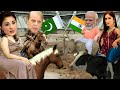 Pakistan Shoot India Pak India War Meme Shooting Leak