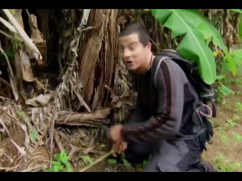 Bear Grylls discovery hindi Me