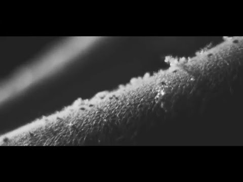 undertheskin - COLD - [official video]