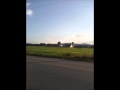 Mason Jennings - In The Field