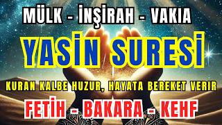 Evde Sesli Dinle - Yasin Suresi - Fetih Suresi - Kalem - Nebe - Vakıa 