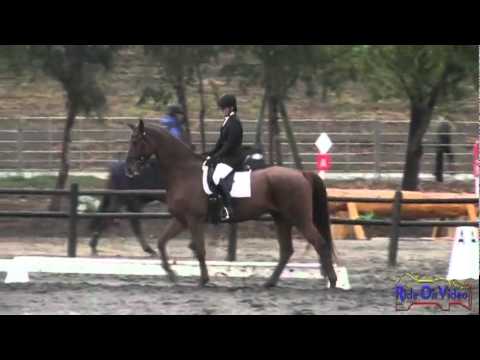 161D Erin Halley T3D Dressage at Galway Downs International 3 Day Event Nov. 2011