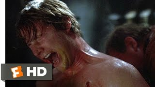 Have you seen Hostel (movie)?