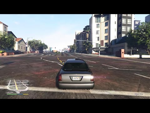 Grand Theft Auto V_Hemp Milk  Lady, I Just Saved The Day Your Victims Are Right In Front Of You😉