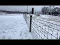 Weather Report Jan 25 2026
