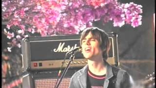 Weezer - Dope Nose (B-Roll Alternate)