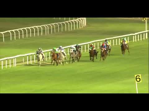 2022.06.30 Premio Milano UAE President Cup (ITA) - Jarif