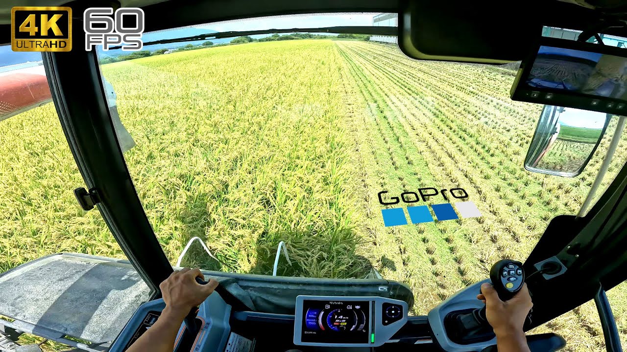 【コンバイン】2町の稲刈り クボタDR6130 【オペレーター目線】2025年