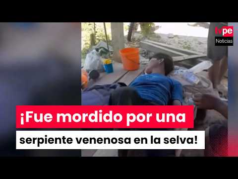 Ucayali: trabajador de salud sufre mordedura de serpiente venenosa en pleno trabajo