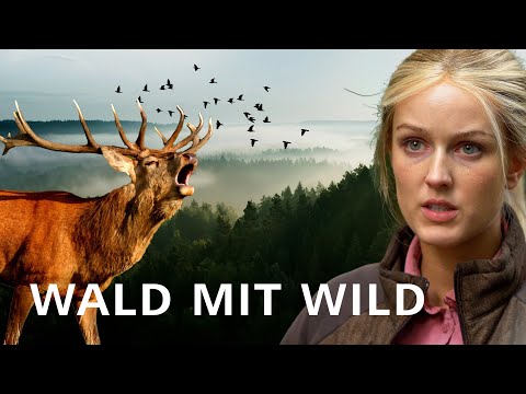 WALD MIT WILD I Unterwegs mit Marie Hoffmann