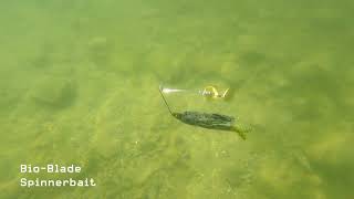 Video thumbnail 2
