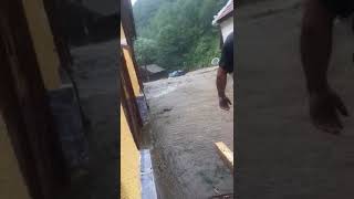 VIDEO FOTO - Case inundate si copaci rupți după furtuna de luni la Sibiu. O mașină luată de ape 2 video