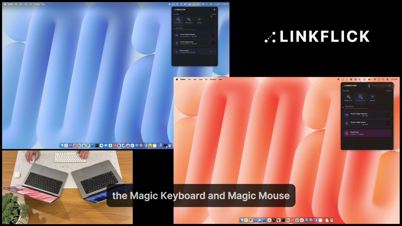 LinkFlick demo video preview