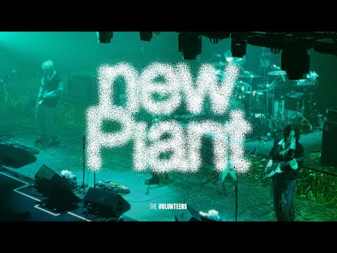 The Volunteers - New Plant / This is TVT Club