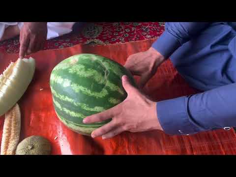 Afghan Watermelon 2020 | Afghanistan fresh fruits | Watermelon