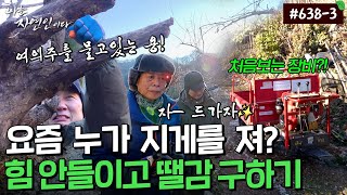 Download lagu In winter, when firewood is essential, what's Moon Soon's secret for finding it?!｜Natural Person ... mp3